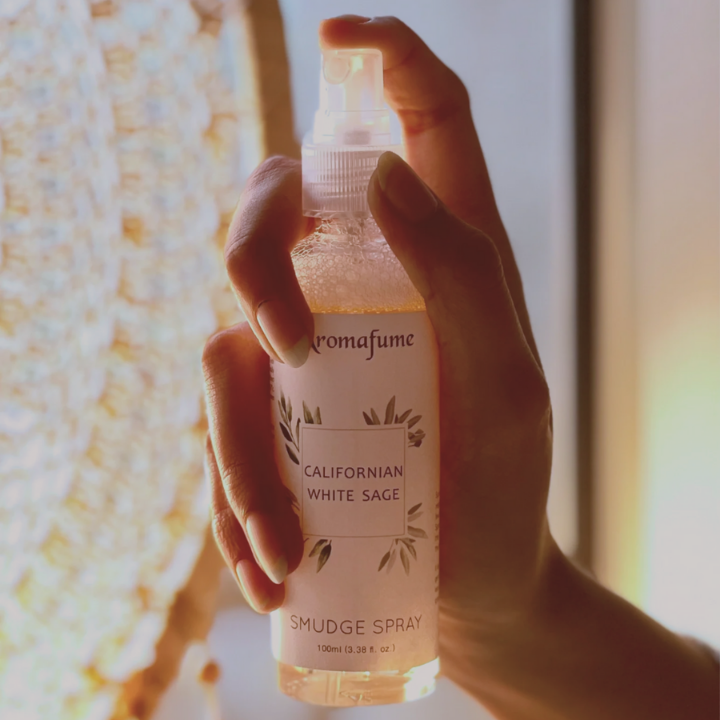Una mano che tiene uno spray per ambienti
