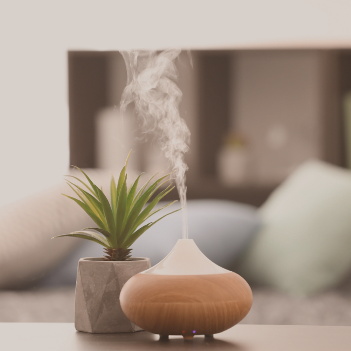 Un diffusore ad ultrasuoni, in funzione, e una piantina appoggiati su un tavolino