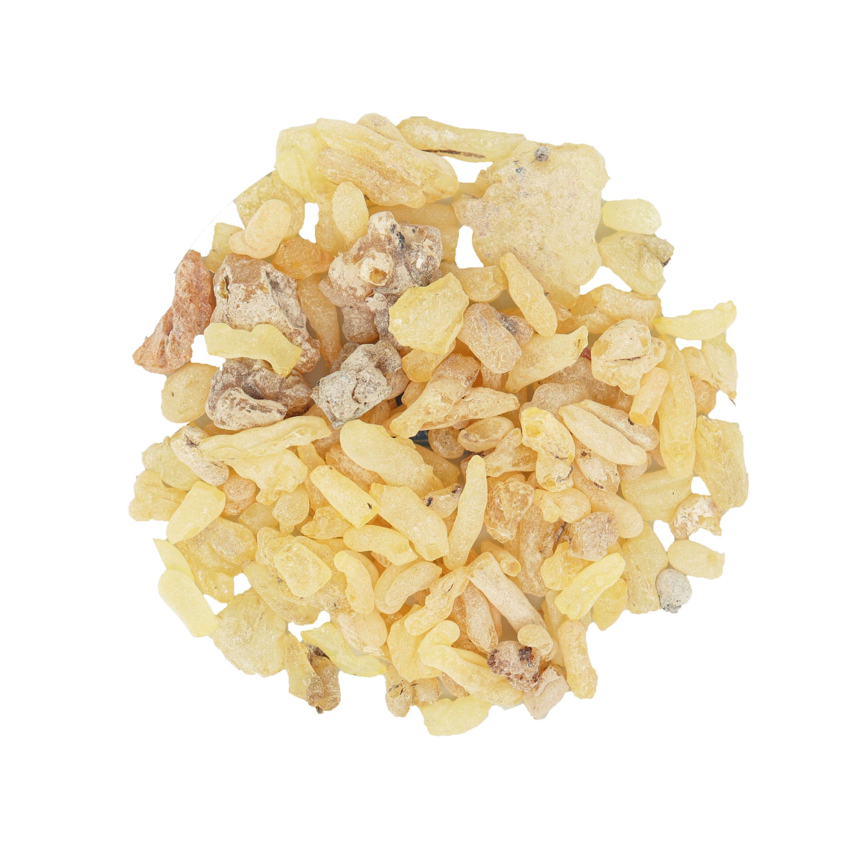 Sandarac in lacrime - Incenso in grani - 50gr