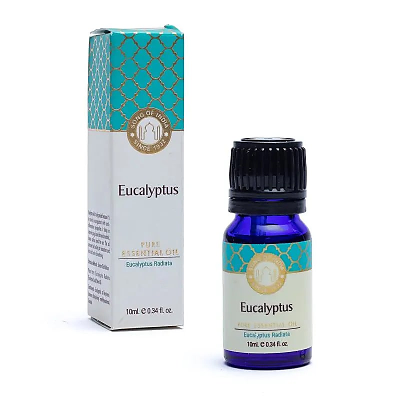Eucalipto - Olio Essenziale 100% Naturale - Song Of India - 10ml