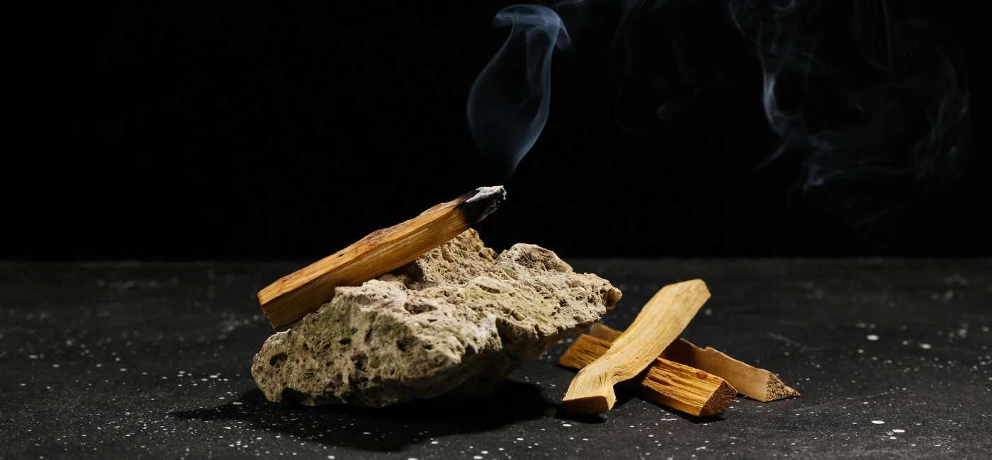 Come riconoscere il vero Palo Santo: Guida definitiva e rischi del legno trattato