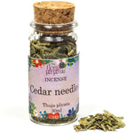 Aghi di Tuia americana - Erbe essiccate - 8g