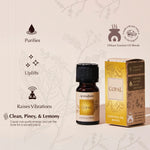 Essenze d' Oriente - Set di 5 oli essenziali - Aromafume - 50ml - Copal