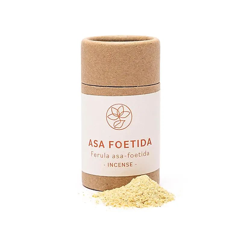 Radice di Assafetida - Polvere - 20g