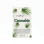 Cannabis - Coni di incenso - Stamford - 15pz