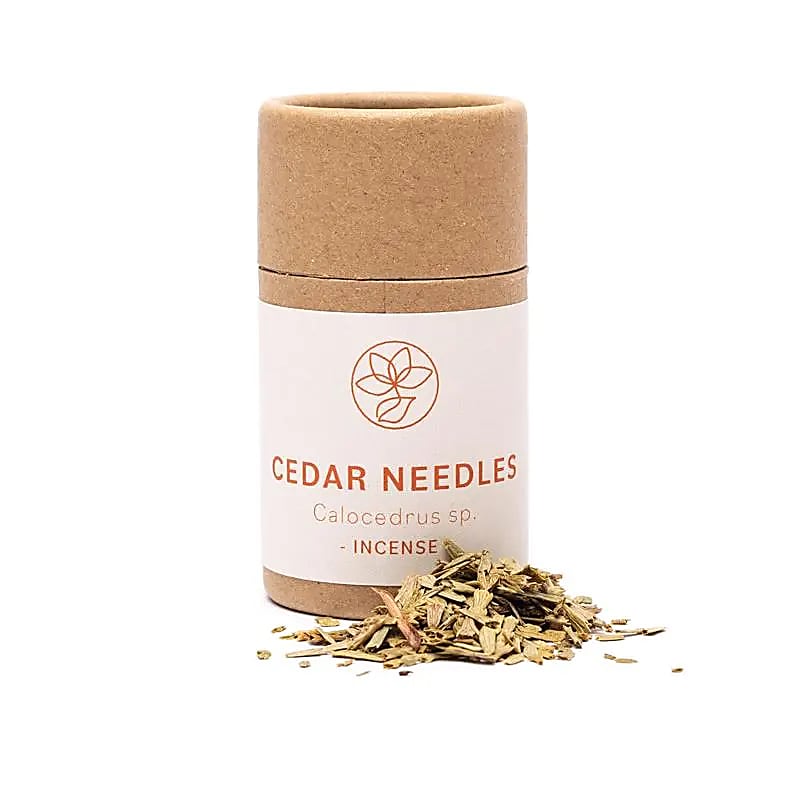 Aghi di Tuia americana - Erbe essiccate - 8g