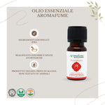 Bottiglietta da 10 ml di olio essenziale Aromafume Muladhara, etichetta chiara con simboli ayurvedici.