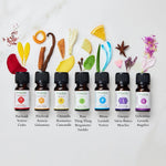 Sette Chakra - Set di 7 Oli essenziali - Aromafume