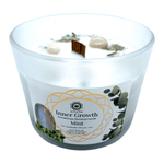 Menta e Pietra di Luna - Candela Profumata Artigianale - 256g