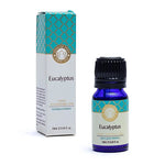 Eucalipto - Olio Essenziale 100% Naturale - Song Of India - 10ml