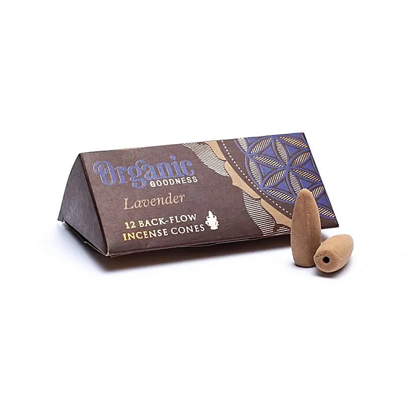 Lavanda - Coni Riflusso - Song Of India - 12pz