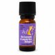 Ätherisches Bio-Lavendelöl – Lavandula Angustifolia 10ml